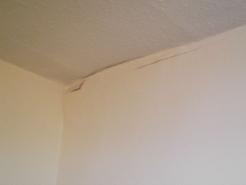 Damage, dogs and tapestry 001