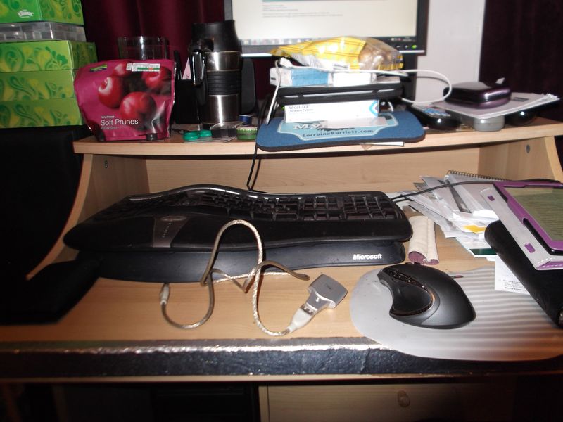 Dogs, diet, desk disaster 008