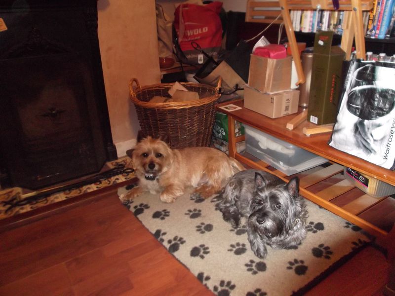 General stuff 003 General stuff 003