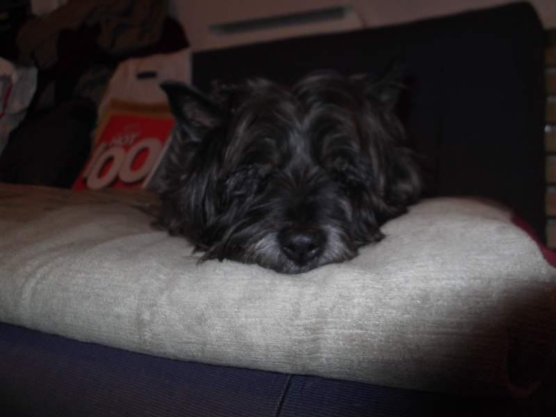 New month 004 New month 004