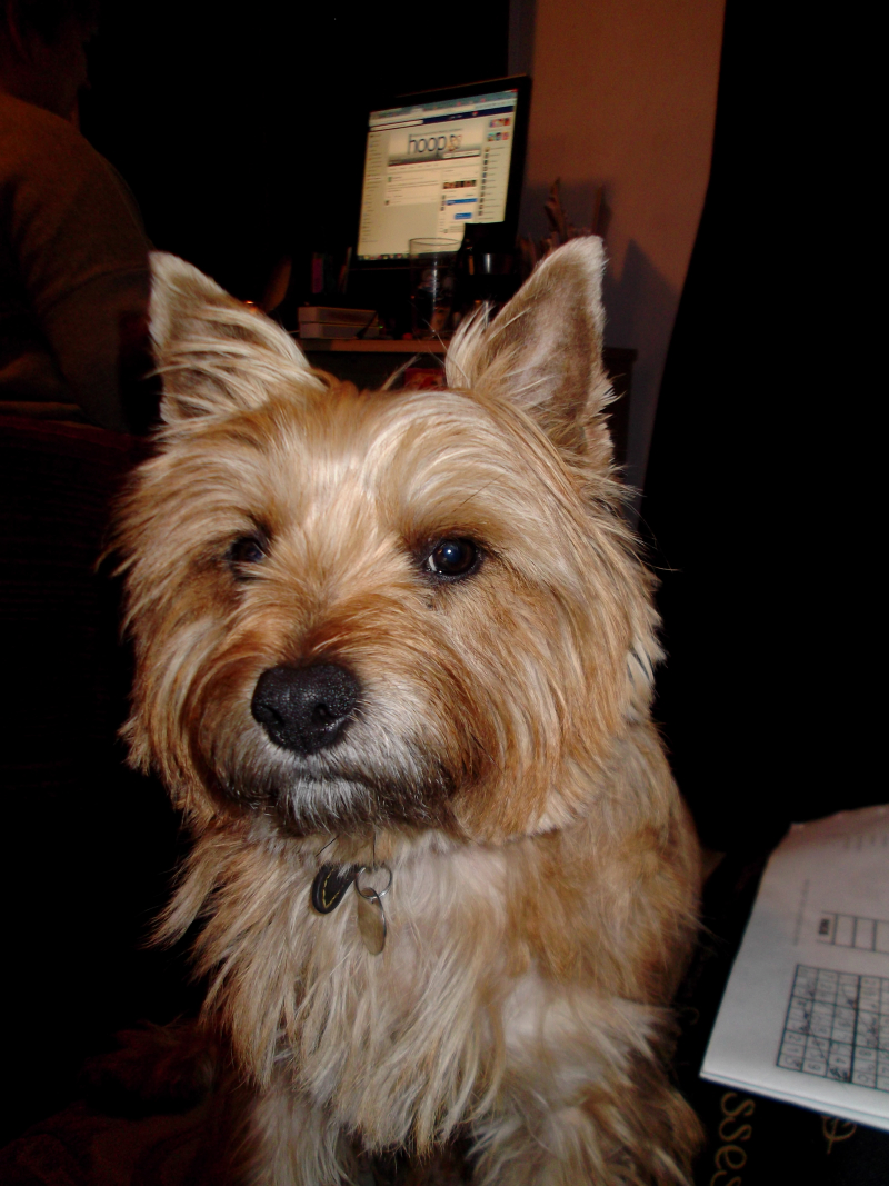 Food, kniting, me and wine 007