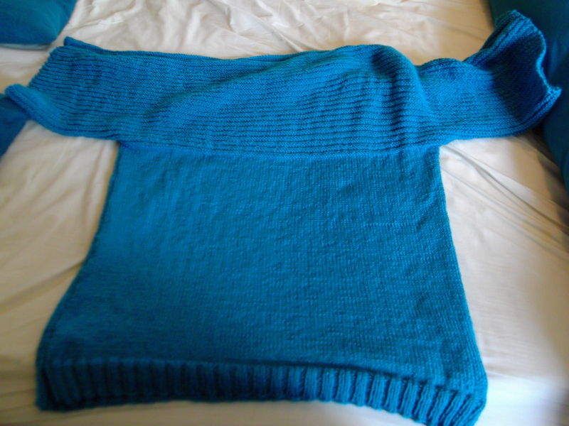 Dogs and sweater! 005