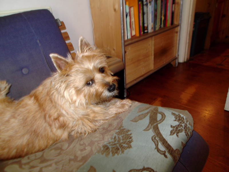 Food  desk  clearing 004