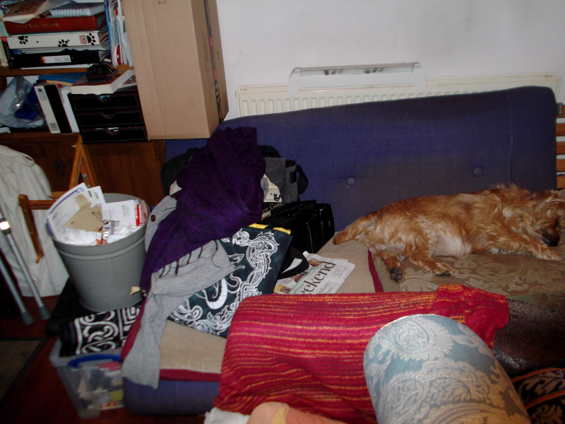 Dogs food and clutter 006 Dogs food and clutter 006