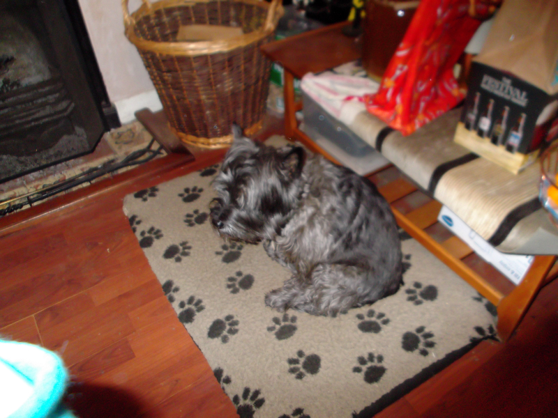 Household and biscuits 008