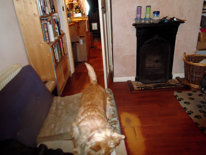 Getting there I hope 006