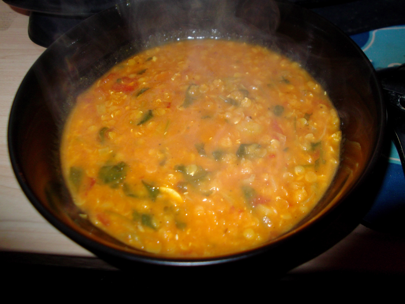 Dogs  food and clutter 001