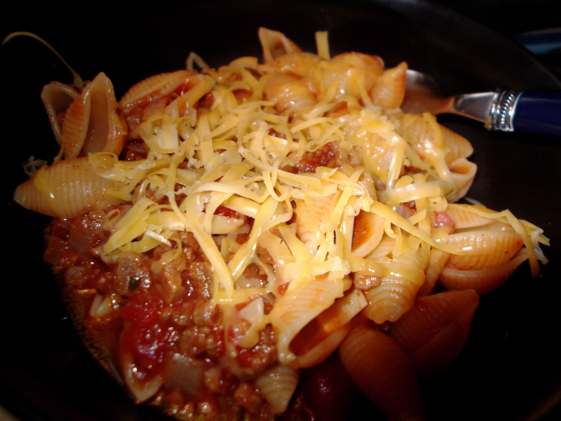 Cheese and pickle ragu and shrug 002 Cheese and pickle ragu and shrug 002